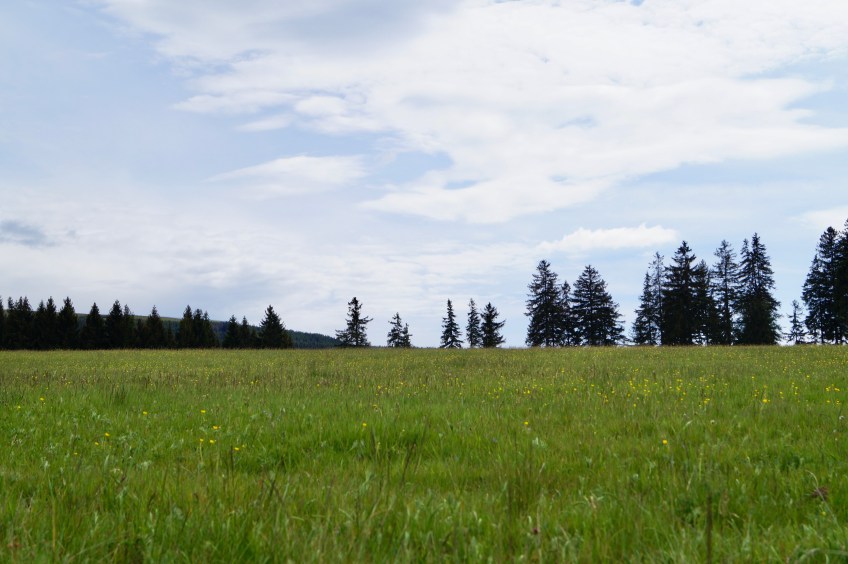 Katzhütte Wanderweg Wurzelberg